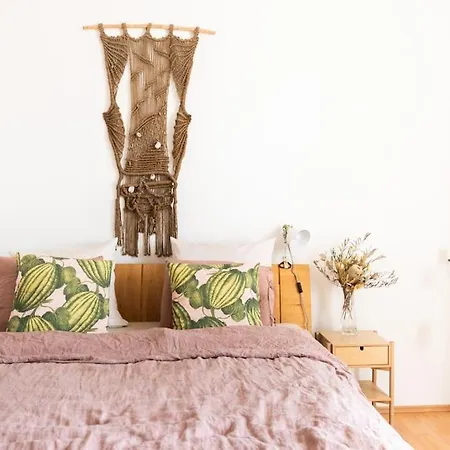 Apartment Rustic In Husovice Brno