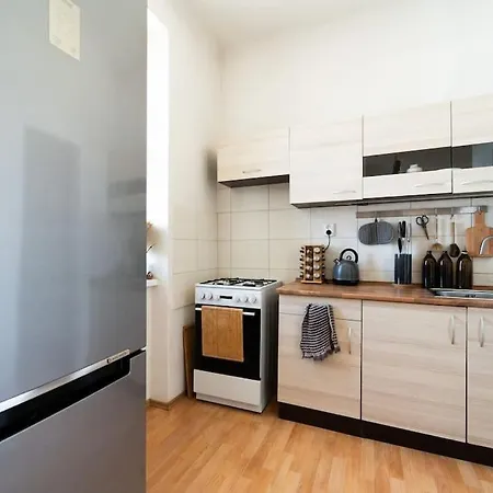 Apartment Rustic In Husovice