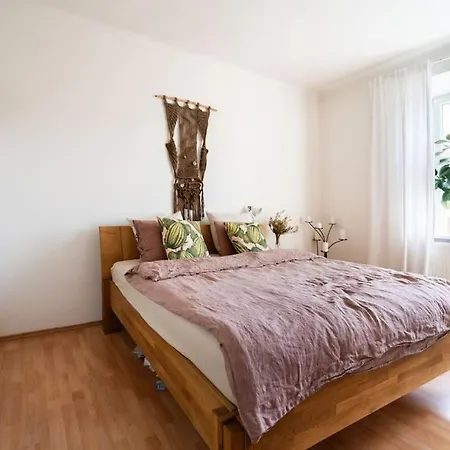 Apartment Rustic In Husovice Brno